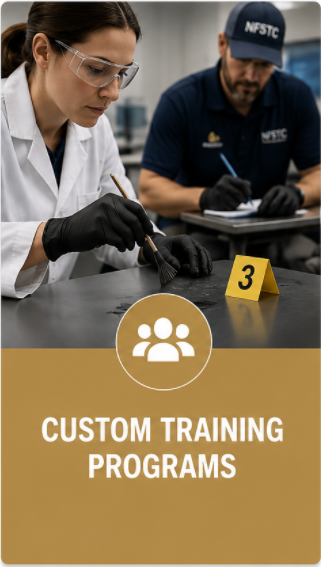 Custom Training